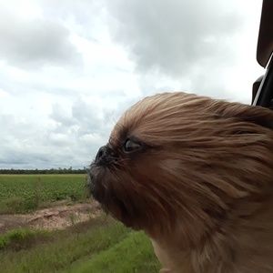 Meet your Posher, Simone